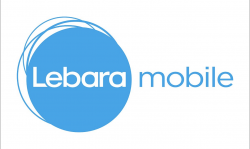 Best network for mobile surfing and calling